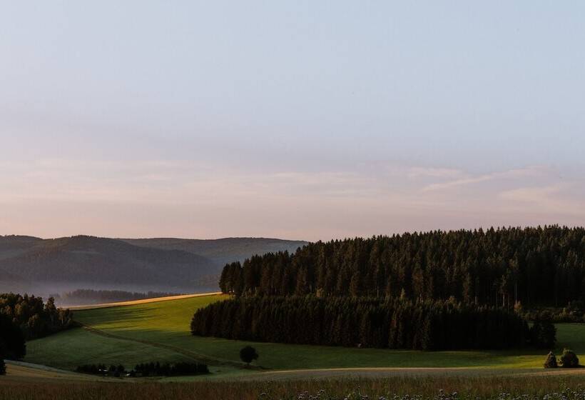 חדר סטנדרט עם מרפסת, Waldhotel Kreuztanne