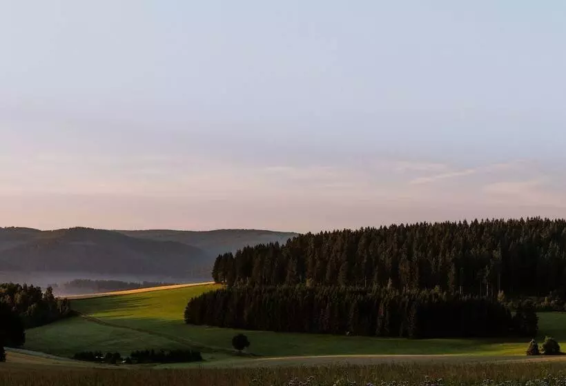 バルコニー付きスタンダードルーム, Waldhotel Kreuztanne