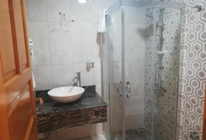 اتاق اکونومی, Woo Town Suites