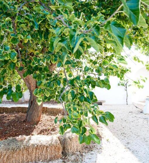 Полулюкс Вид на Сад, Masseria San Martino