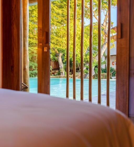 جناح مطلّ علي حمام السباحة, Cafe Jeri