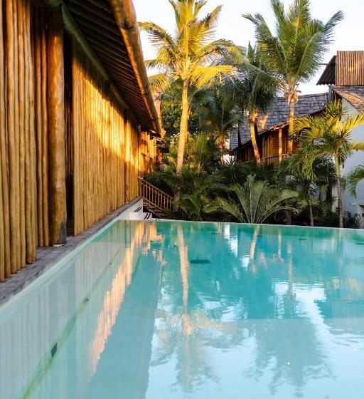 جناح مطلّ علي حمام السباحة, Cafe Jeri