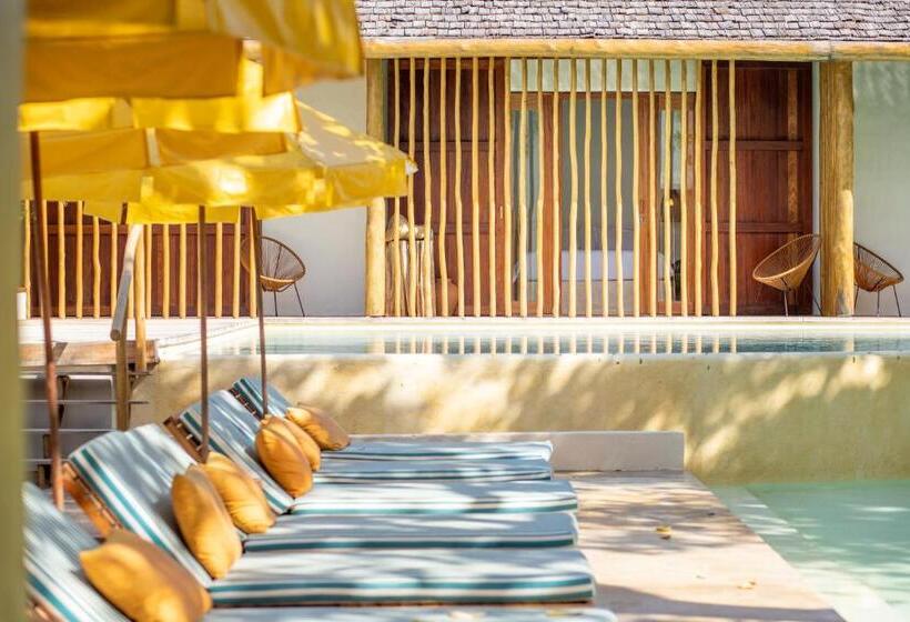 جناح مطلّ علي حمام السباحة, Cafe Jeri