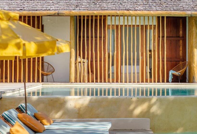 جناح مطلّ علي حمام السباحة, Cafe Jeri