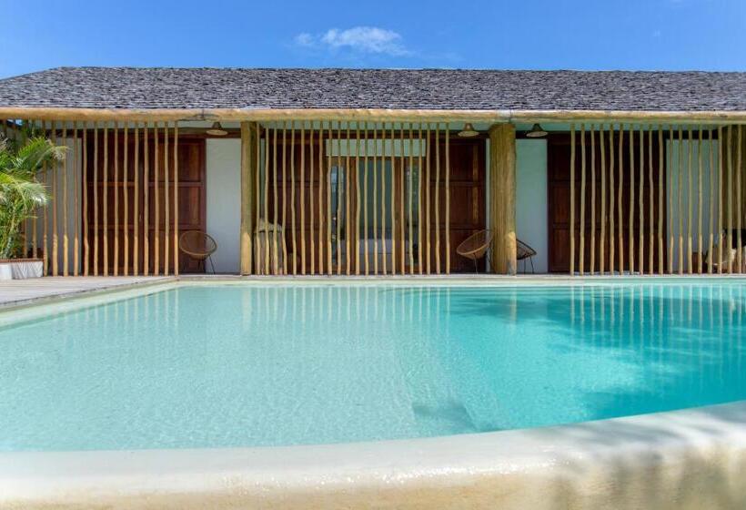 جناح مطلّ علي حمام السباحة, Cafe Jeri