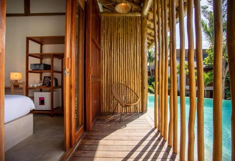 جناح مطلّ علي حمام السباحة, Cafe Jeri