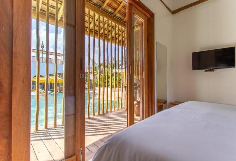 جناح مطلّ علي حمام السباحة, Cafe Jeri