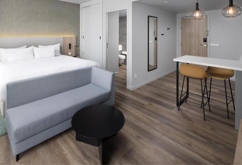 إستوديو قياسى سرير كينج, Residence Inn By Marriott Paris Charles De Gaulle Central Airport