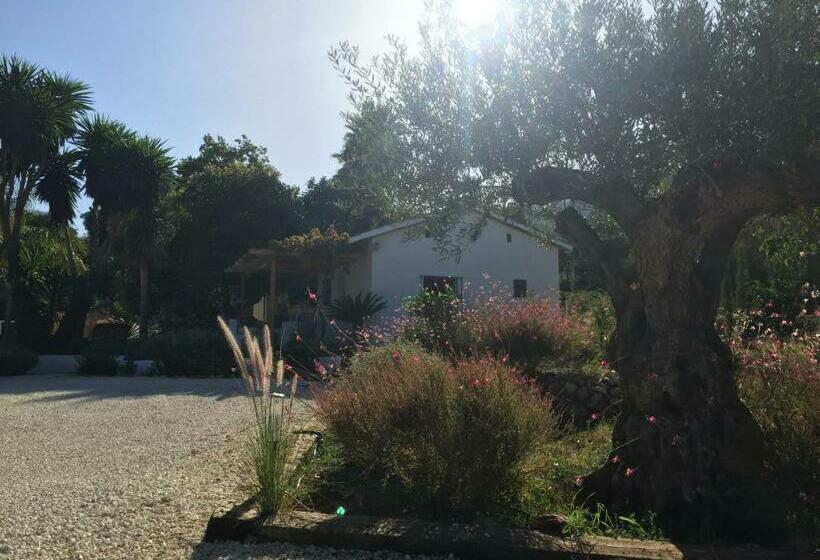 بنجلو عائلى, Finca Mil Estrellas