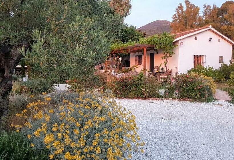 Семейное Бунгало, Finca Mil Estrellas