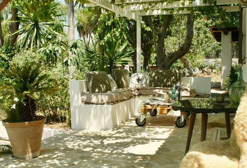 بنجلو عائلى, Finca Mil Estrellas