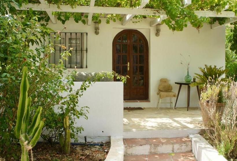 بنجلو عائلى, Finca Mil Estrellas