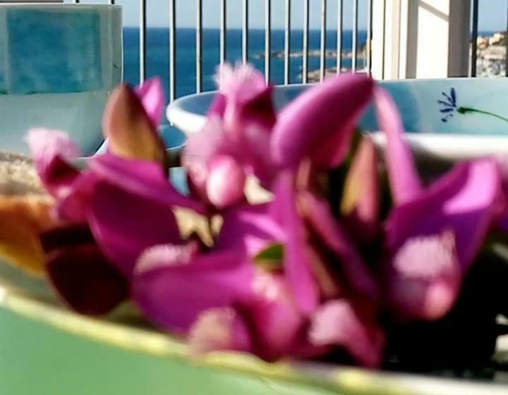 דירת חדר, Agriturismo La Tuffatrice