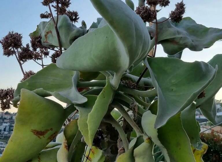 דירת חדר, Agriturismo La Tuffatrice