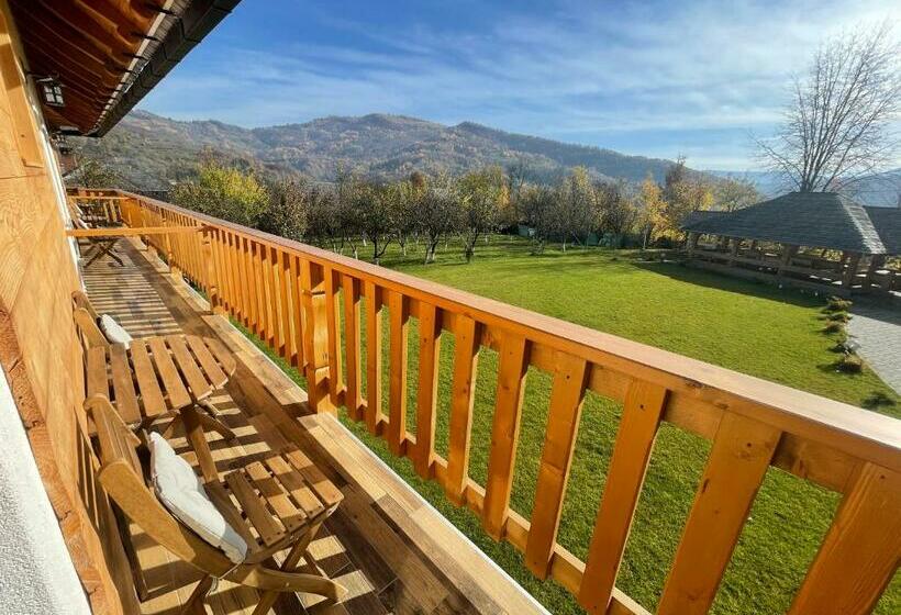 Номер Стандарт Вид на Горы, Pensiunea Coronita