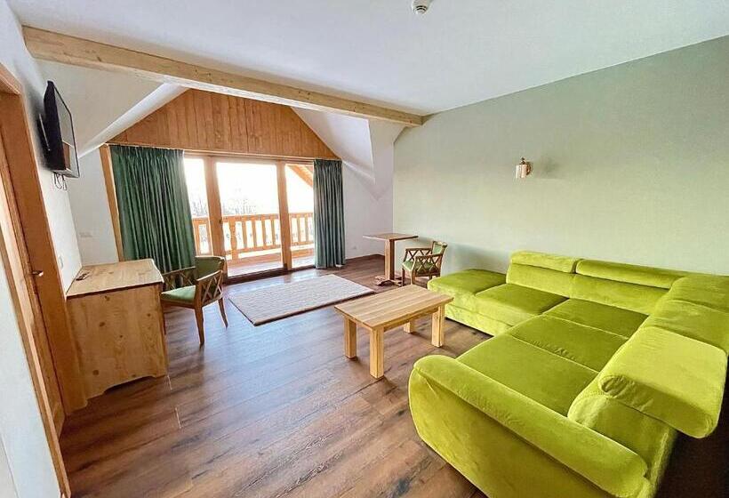 Люкс Повышенной Комфортности, Pensiunea Coronita