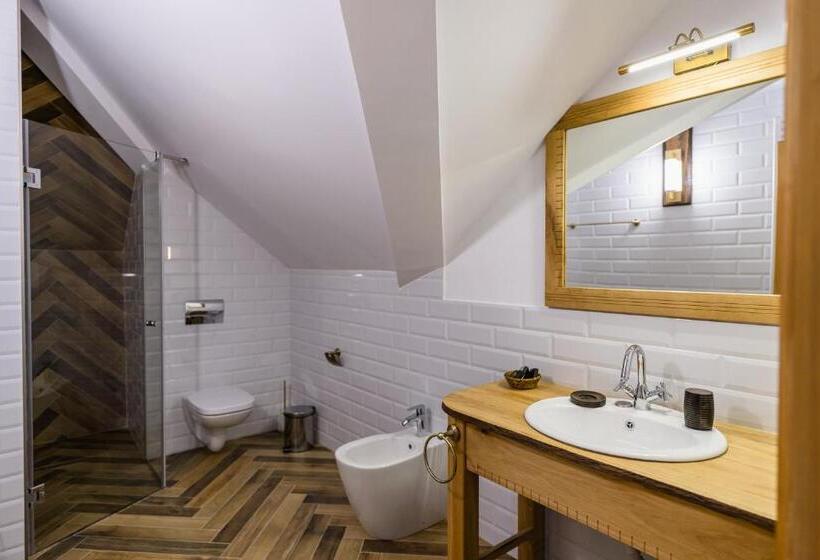 Люкс Повышенной Комфортности, Pensiunea Coronita