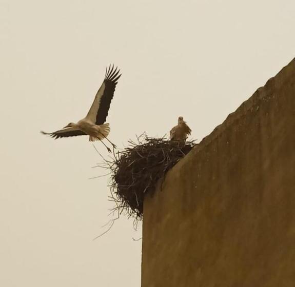 스탠다드 룸, La Posada Del Tiétar