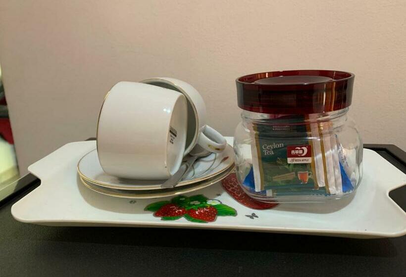 غرفة قياسية, Villa Delorenta