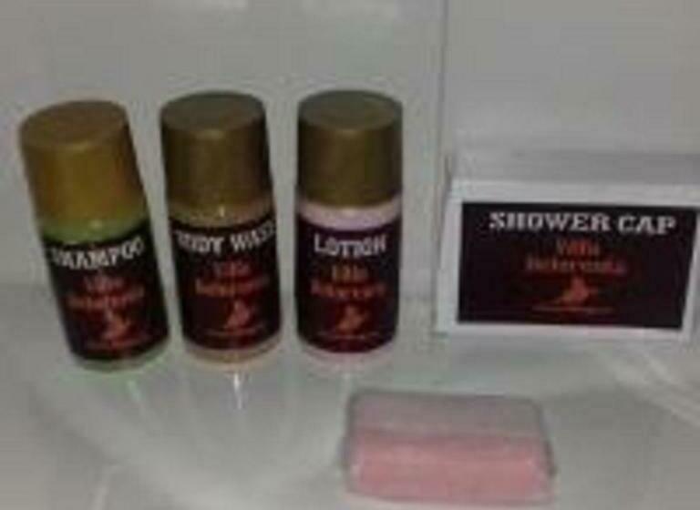 غرفة قياسية, Villa Delorenta