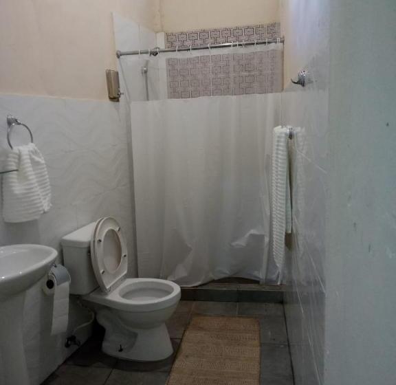 اتاق استاندارد یک نفره, Hostel Gato Colonial