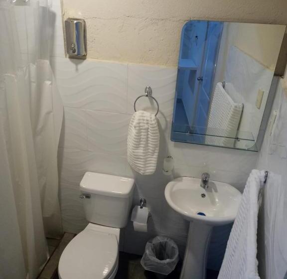 اتاق استاندارد, Hostel Gato Colonial