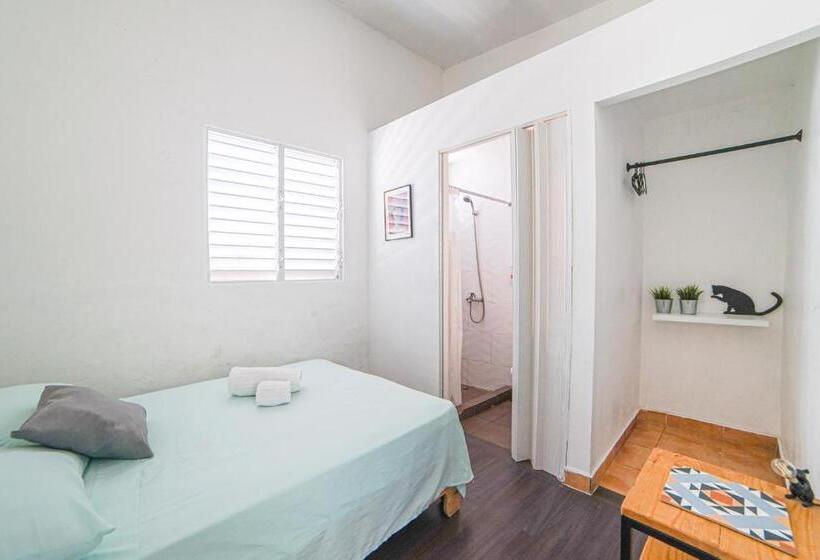 اتاق استاندارد, Hostel Gato Colonial