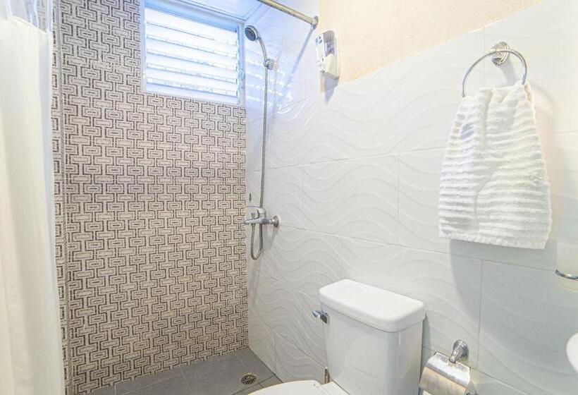 اتاق استاندارد, Hostel Gato Colonial