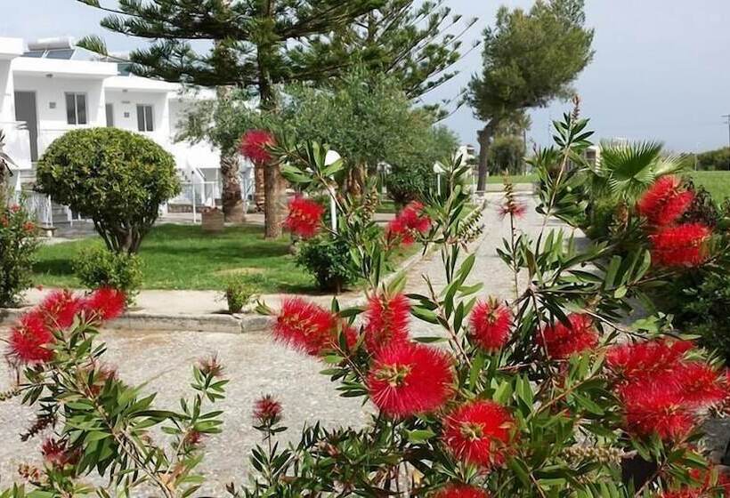 بنجلو قياسى, Blue Nest