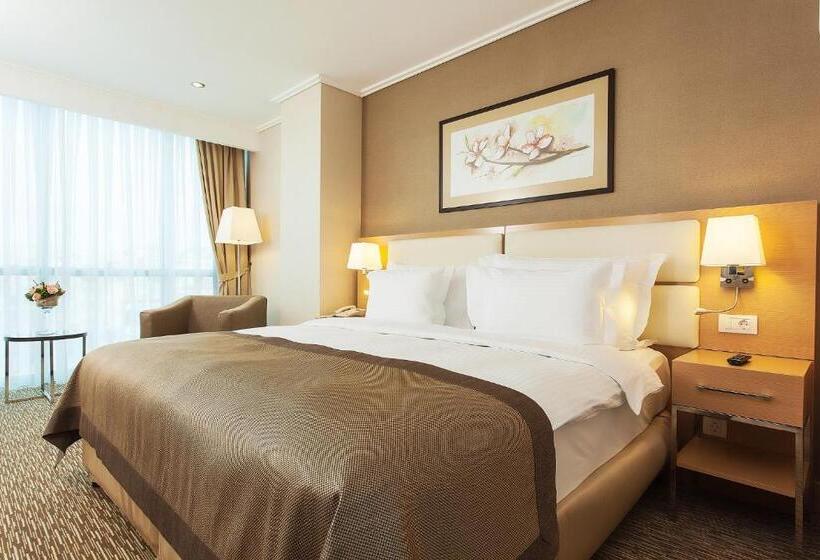 اتاق استاندارد با چشم‌انداز شهر, Divan Gaziantep