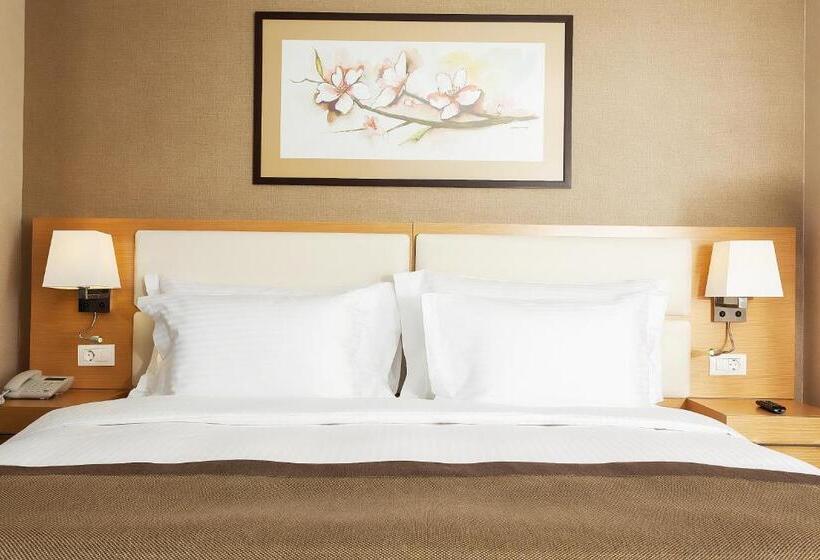 اتاق استاندارد با چشم‌انداز شهر, Divan Gaziantep