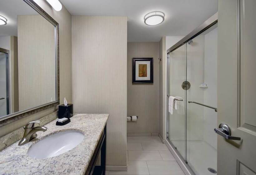 غرفة قياسية سرير كينج, Hampton Inn & Suites Robbinsville