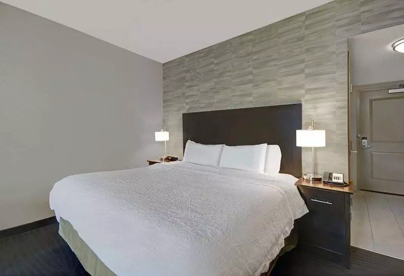 キングサイズベッドのスタンダードルーム, Hampton Inn & Suites Robbinsville