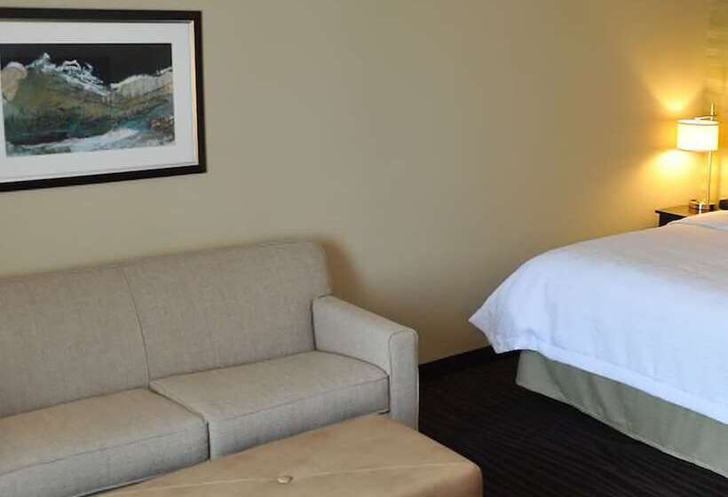 غرفة قياسية سرير كينج, Hampton Inn & Suites Robbinsville