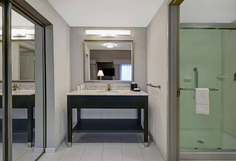 غرفة قياسية سرير كينج لذوى الإحتياجات الخاصة, Hampton Inn & Suites Robbinsville