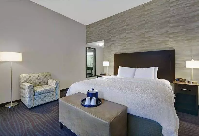 身障者適用キングサイズベッドルーム, Hampton Inn & Suites Robbinsville