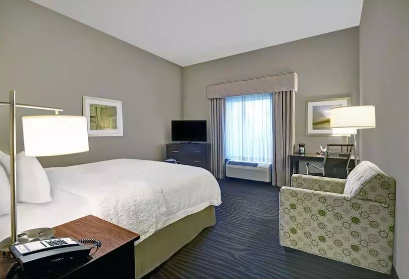 身障者適用キングサイズベッドルーム, Hampton Inn & Suites Robbinsville