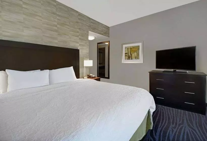 身障者適用キングサイズベッドルーム, Hampton Inn & Suites Robbinsville
