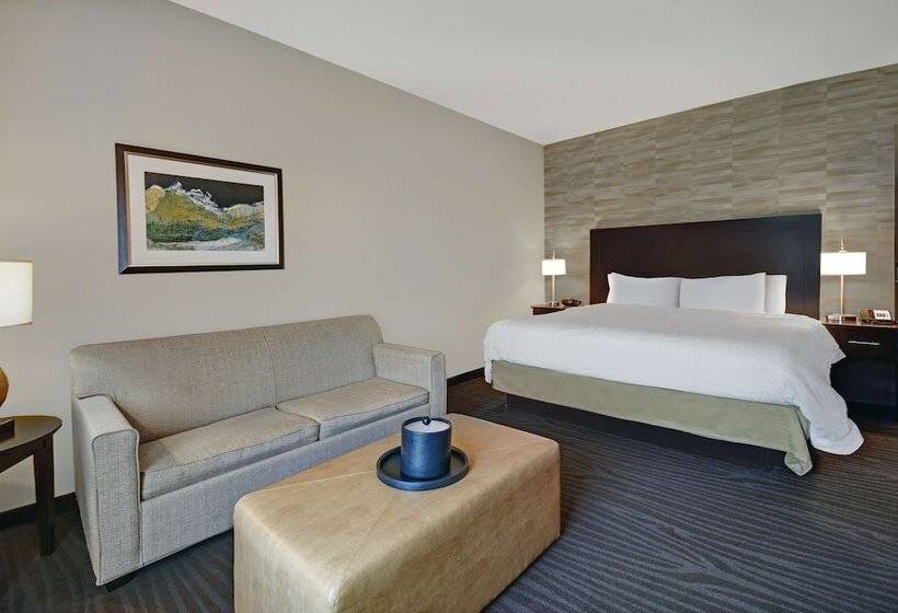 غرفة قياسية سرير كينج لذوى الإحتياجات الخاصة, Hampton Inn & Suites Robbinsville