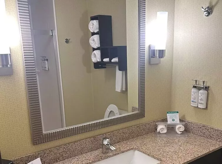 スイート, Holiday Inn Express & Suites Pittsburgh Sw/southpointe, An Ihg
