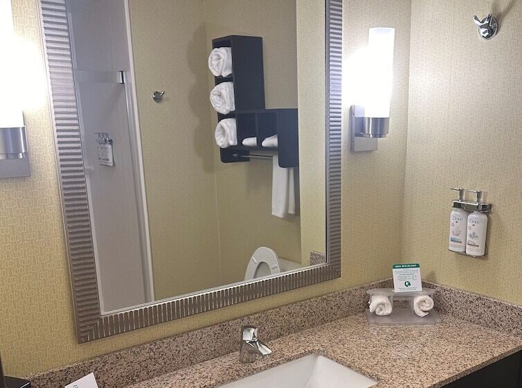장애인을 위한 스위트, Holiday Inn Express & Suites Pittsburgh Sw/southpointe, An Ihg