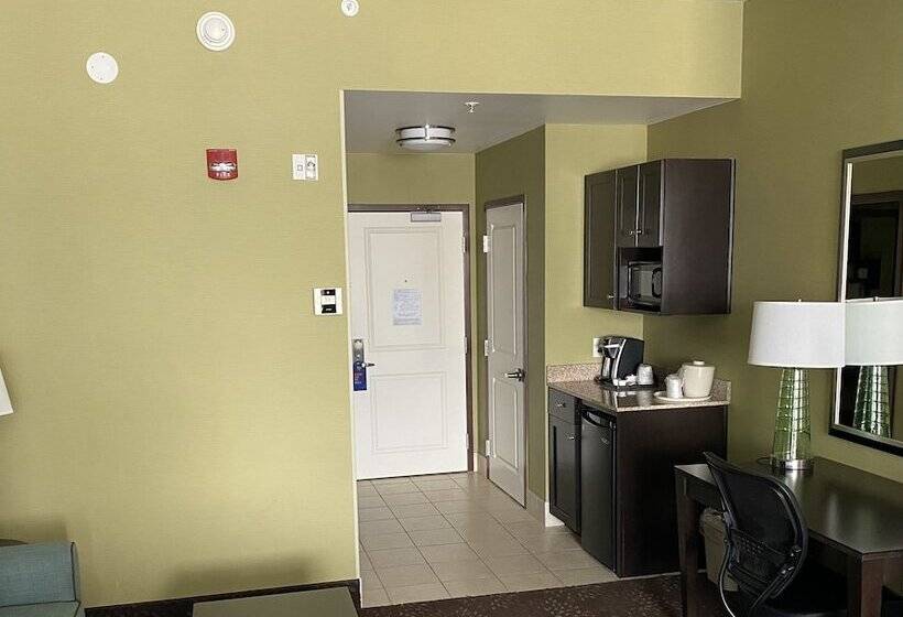 Люкс Адаптированный для Инвалидов, Holiday Inn Express & Suites Pittsburgh Sw/southpointe, An Ihg