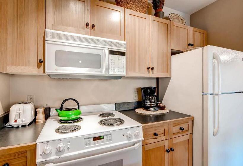 スタンダードスタジオ, River Run Village By Keystone Resort