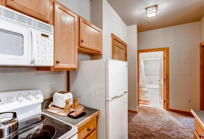 1ベッドルームアパートメント, River Run Village By Keystone Resort