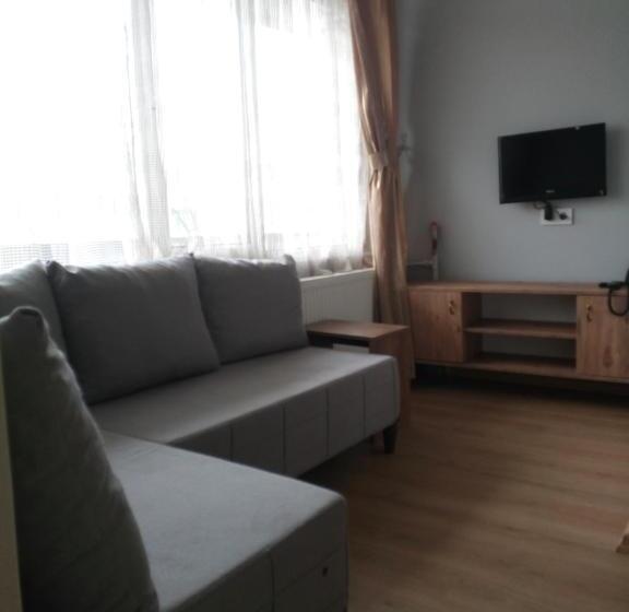 اتاق استاندارد, Tac