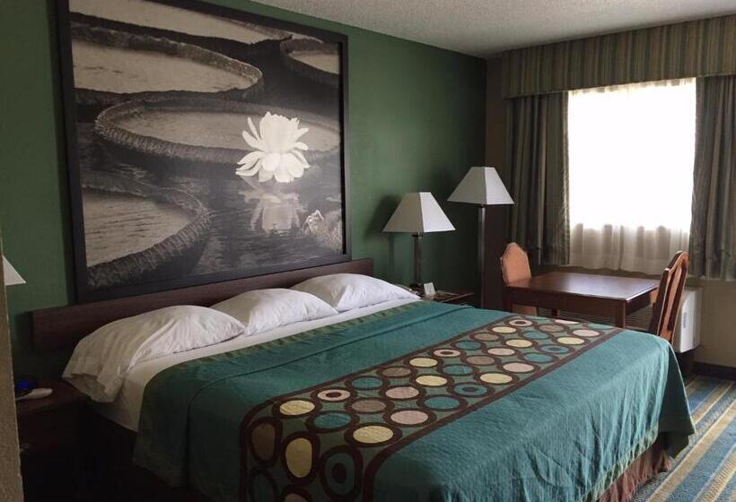 带大床的标准间, Super 8 By Wyndham Greencastle