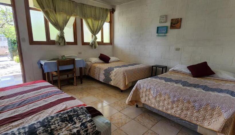 اتاق خانوادگی, Complejo Don Pascual