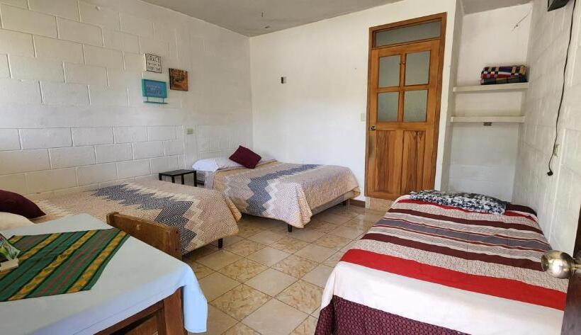 اتاق خانوادگی, Complejo Don Pascual