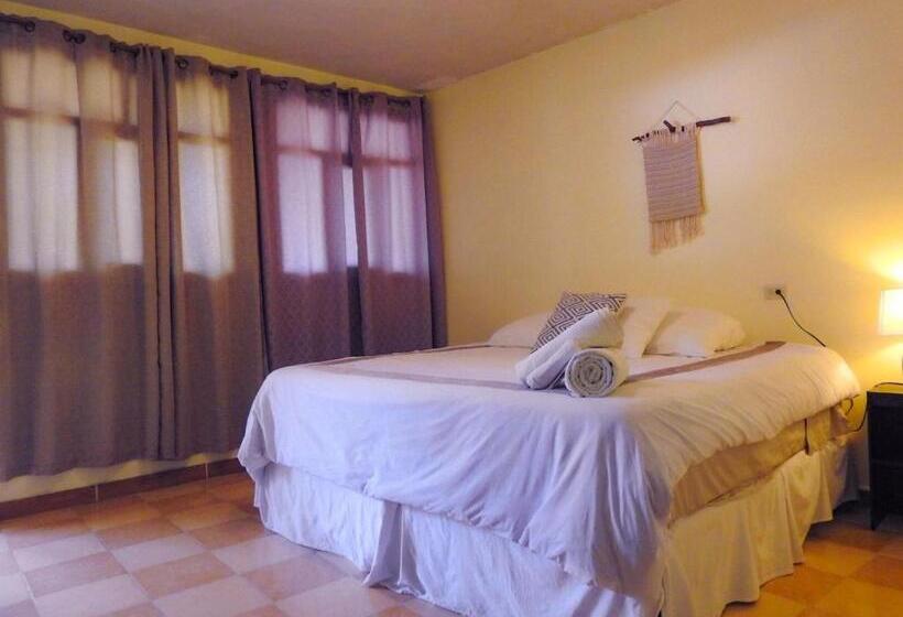 اتاق لوکس با تخت بزرگ, Complejo Don Pascual