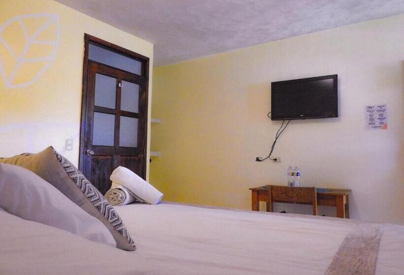 اتاق لوکس با تخت بزرگ, Complejo Don Pascual